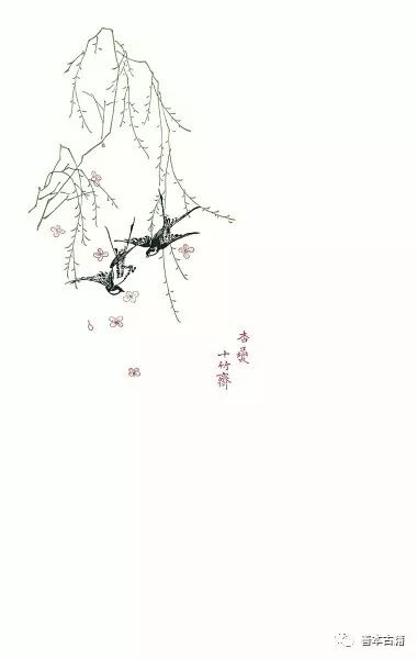 经典再现回归,十竹斋笺谱2012怎么样
