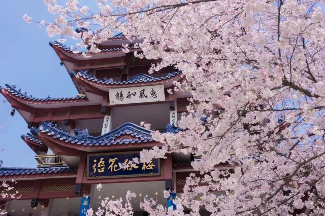 2022年3月机票便宜,三月下旬厦门到成都机票价格