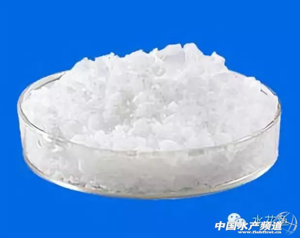 细菌性烂鳃和寄生虫性烂鳃的区别,烂鱼鳃病怎么治疗