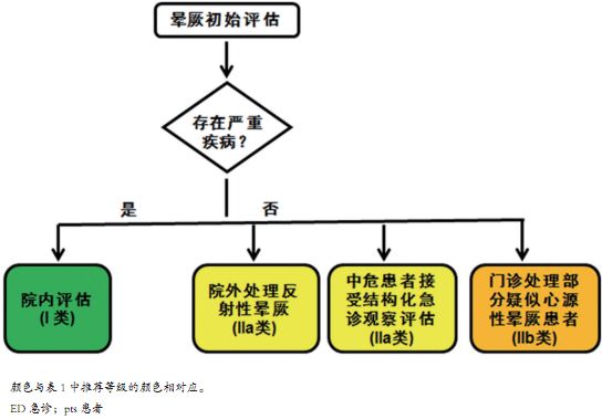 棘手的晕厥诊治，这份来自哈佛的简洁手册堪称典范！|专家视角
