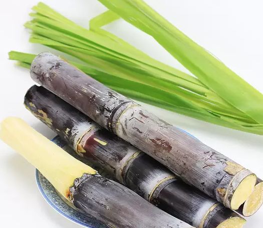 比毒蛇还毒？这种食物清明前后大量上市，好多湖南人特别爱吃…