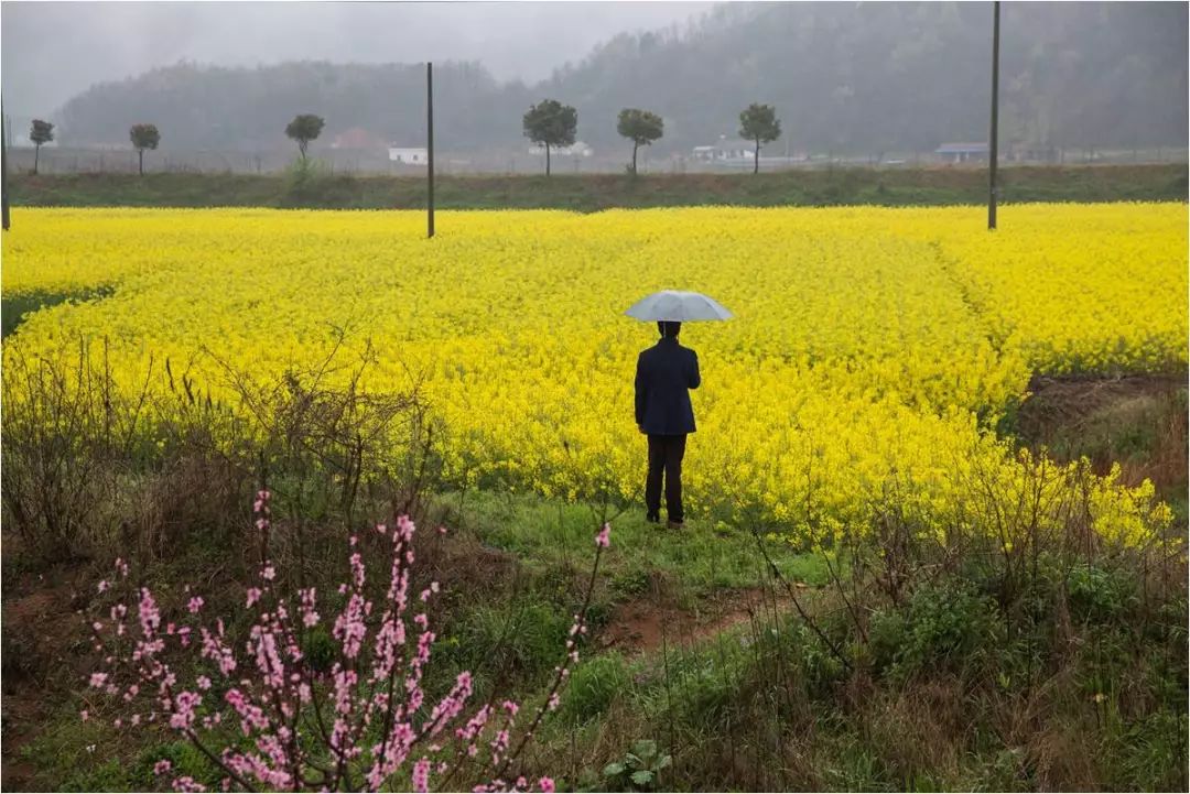 枞阳摄影师,枞阳拍照写真