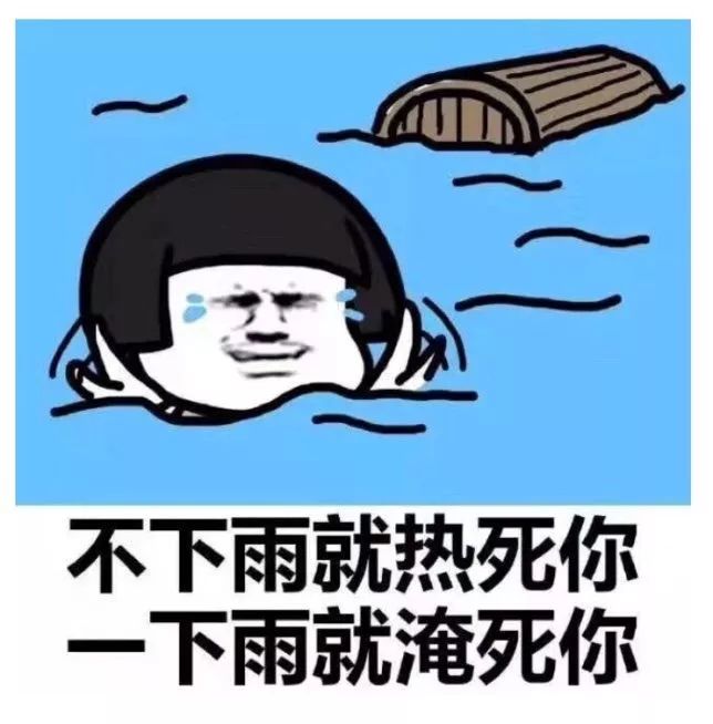 闲聊多肉大军四川“兵团”川南支队养肉记！