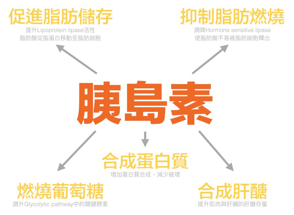 经常吃甜食的女生,爱吃甜食的女生长得可爱吗