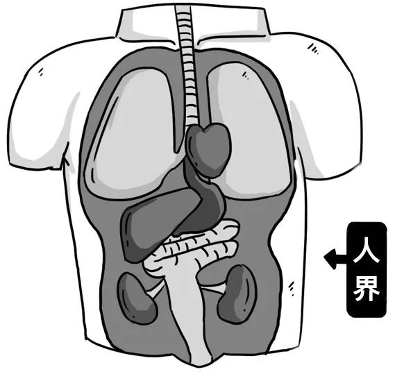漫画类科普,漫画科普