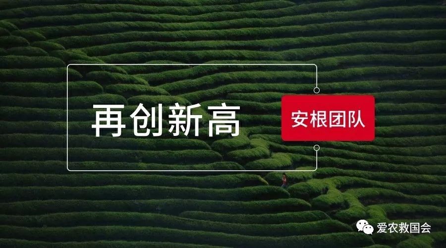 干旱天气对茶叶的影响,高温干旱对茶树的影响