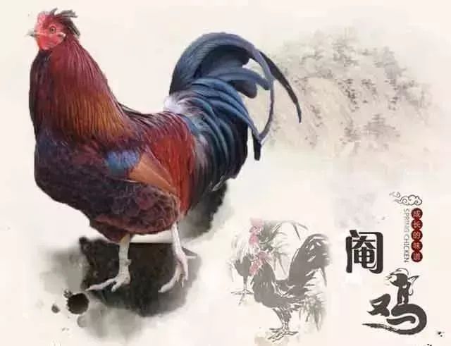 月入过万的高薪行业,冷门打工月入过万
