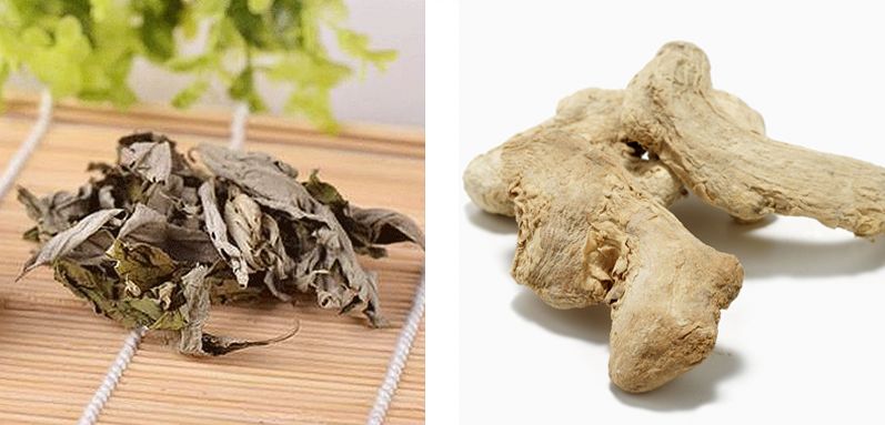 真人秀遇生理期也能撒狗粮，“多喝热水”竟成送命答案
