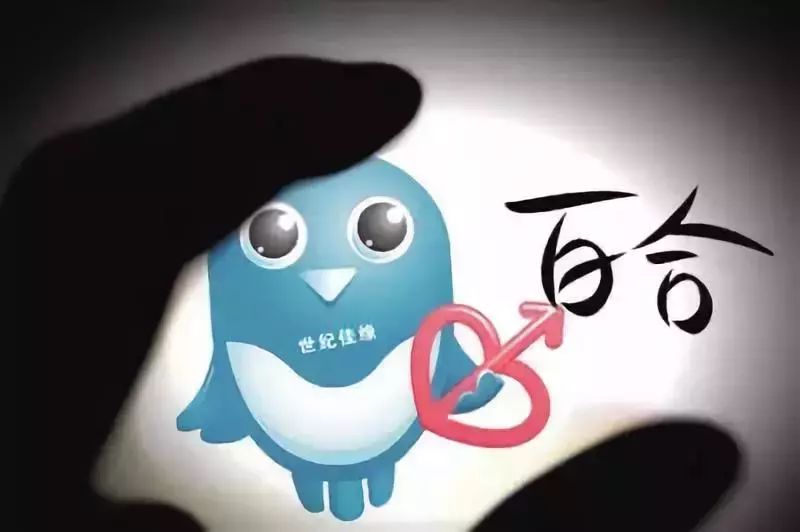 网恋一年被骗一百多万原视频,网恋被骗一千零一次