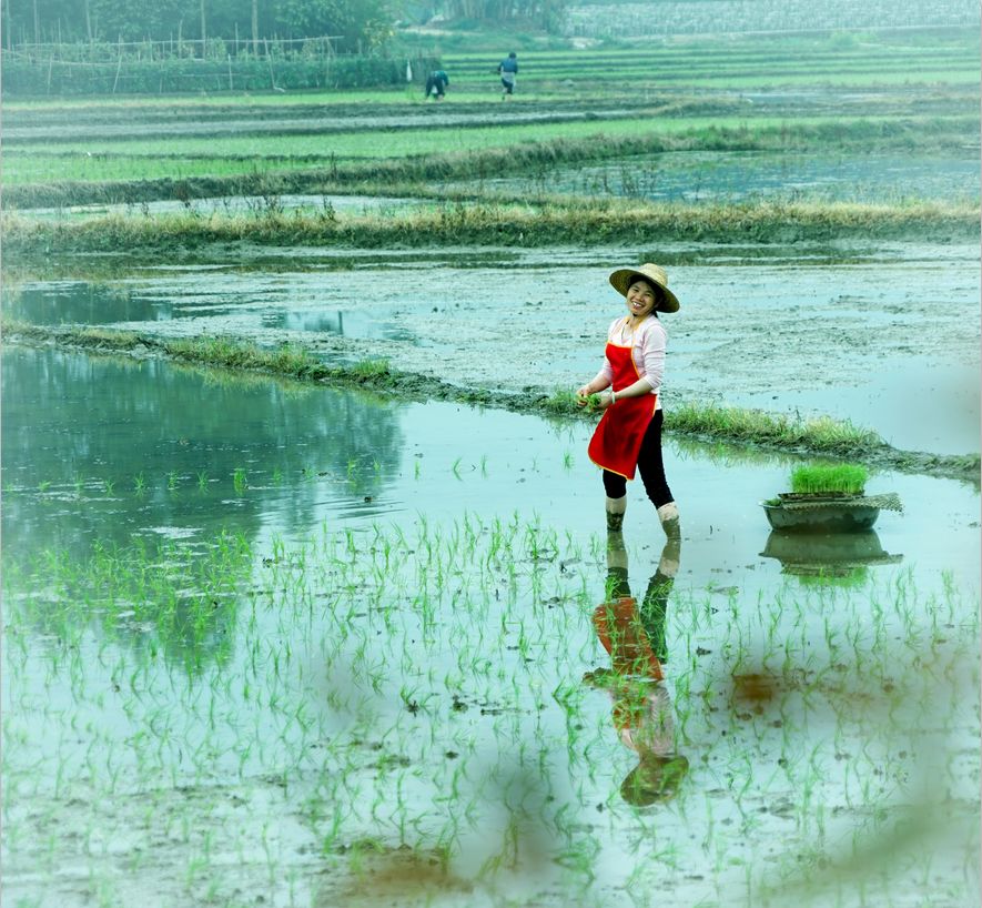 别拦我我要回家图片,别拦我我要回家