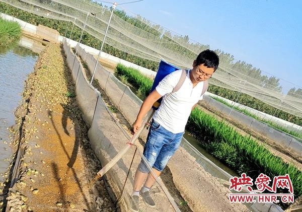 西平90后小伙刘亚隆：青蛙养的顶呱呱带头致富人人夸