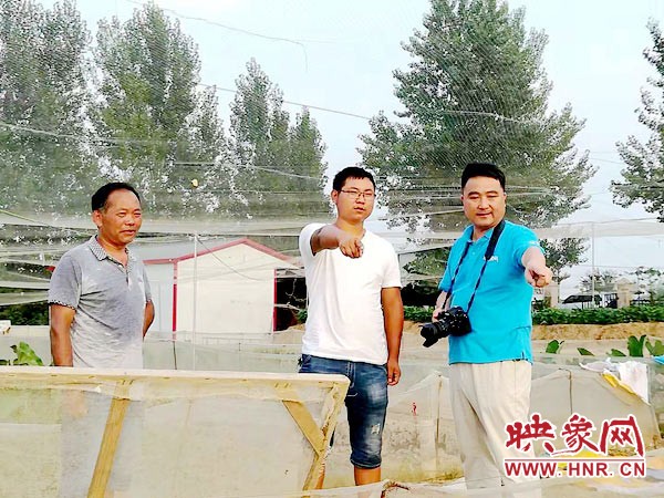 西平90后小伙刘亚隆：青蛙养的顶呱呱带头致富人人夸