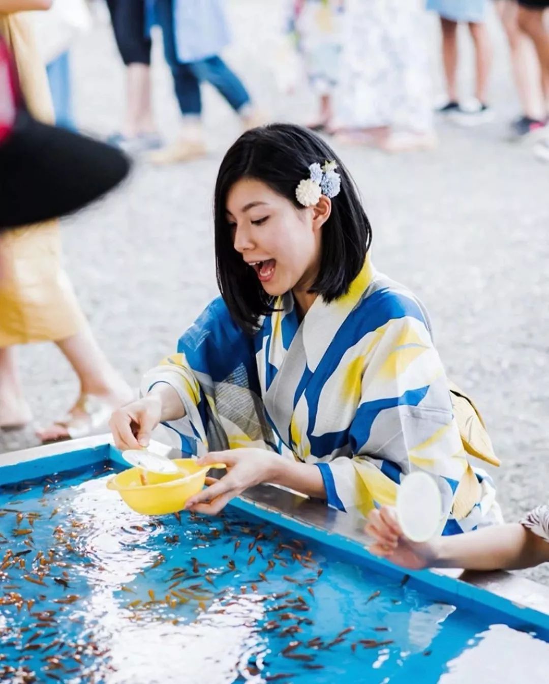 福利来了北欧风,日本清凉夏日祭