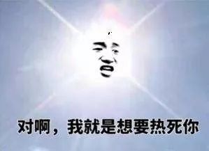 金佛山方竹笋节开幕式,金佛山方竹笋哪家好吃