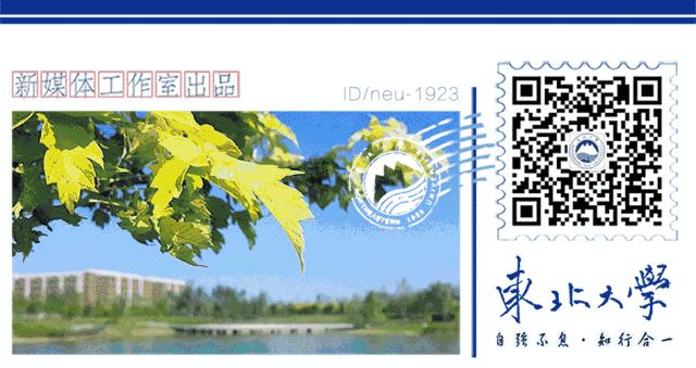 东北大学2020硕士研究生招生计划,2020年东北大学本科招生章程