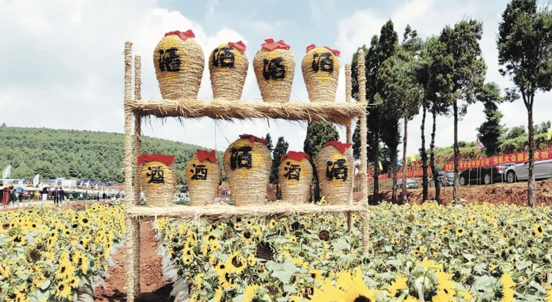 壮丽70年辉煌历程,昆明农投