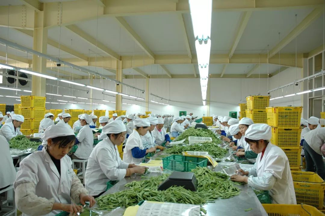 壮丽70年辉煌历程,昆明农投