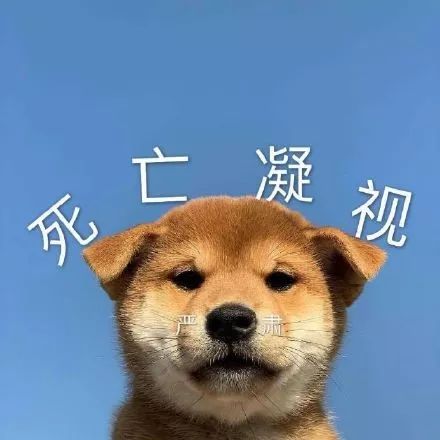 长了8年的痘痘要注意什么,长了好多年的痘痘怎么治好