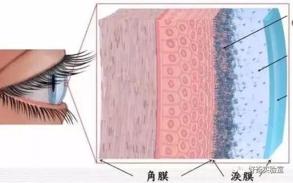 眼干看电脑要把电脑垫高吗,显示器垫高影响视力