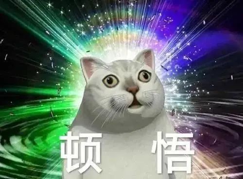 寻香|五彩斑斓的黑算什么，来见识一下五光十色的白