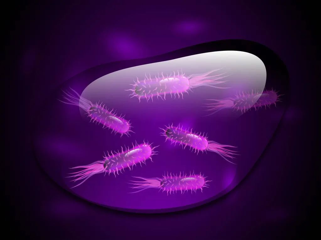 美国科学家研究微生物技术,世界最新微生物基因组研究成果