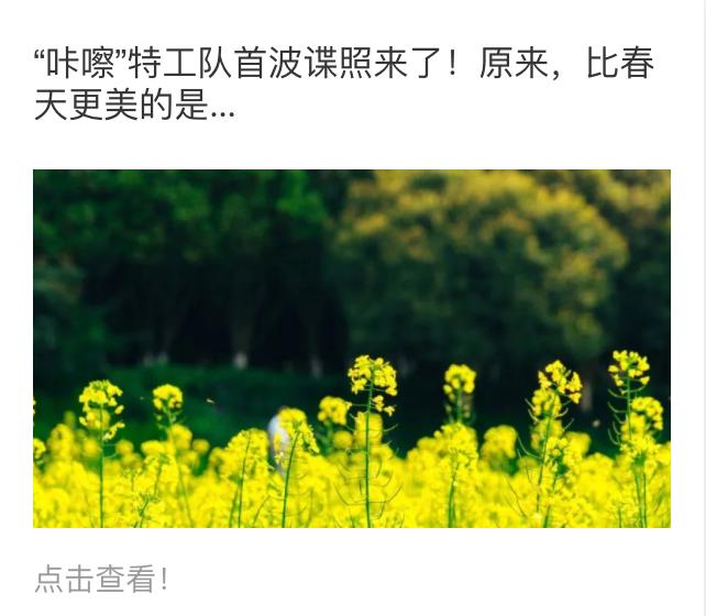 苏州酒店婚宴恢复了吗,苏州婚宴恢复