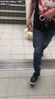 “你和异性发生过最尴尬的事！笑得我差点当场去世了…”哈哈哈哈哈哈哈哈哈