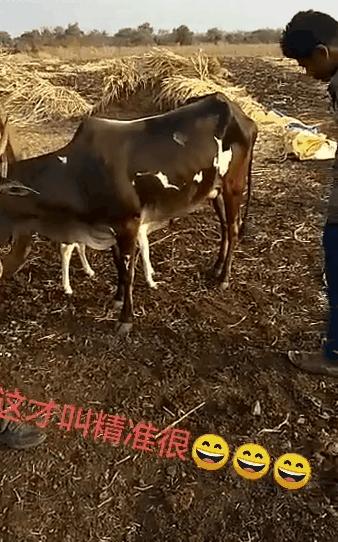 “你和异性发生过最尴尬的事！笑得我差点当场去世了…”哈哈哈哈哈哈哈哈哈