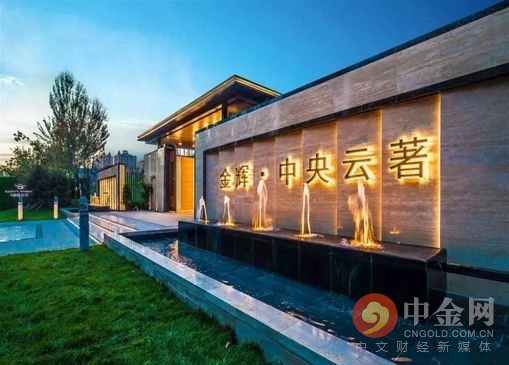 金辉控股的未来,金辉控股的房子品质怎么样