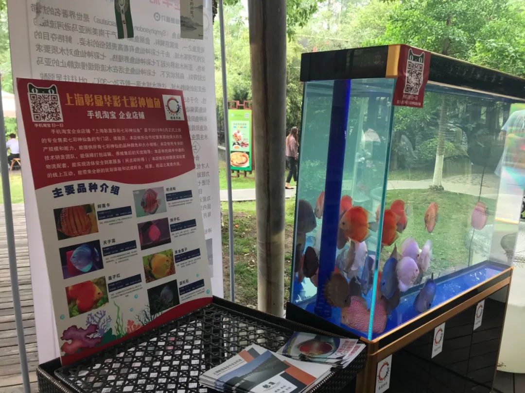 乡村振兴创新创业电商助农视频,乡村振兴互联网创新创业