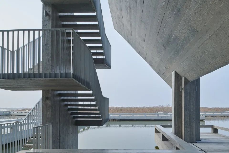 探索崇明东滩湿地公园的奥秘,崇明东滩湿地科研中心