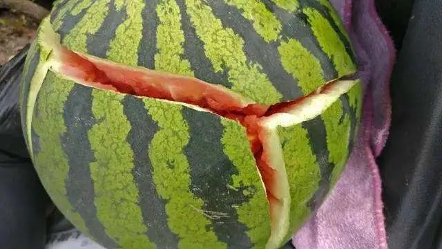 齐嫣婷医生讲科普|“动过刀”的子宫，能不能顺产？