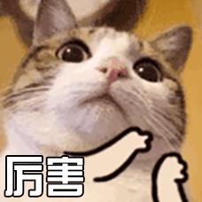 怎样申请驾驶证和行驶证电子版,怎样申领电子驾驶证行驶证