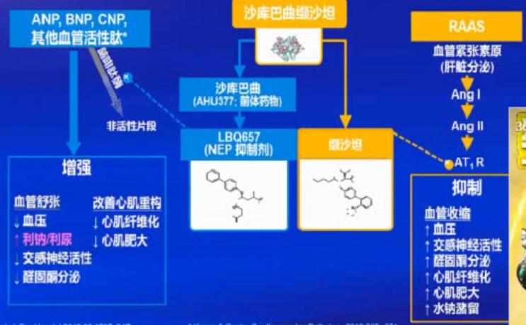 指南解读心衰时利尿剂怎么用,心力衰竭强心利尿药物如何使用