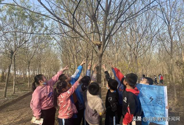 小学综合实践活动课堂,山东省小学综合实践活动培训