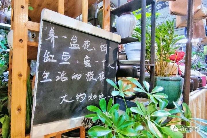 济南花卉市场哪个最大最出名,开放的济南花卉市场有哪些
