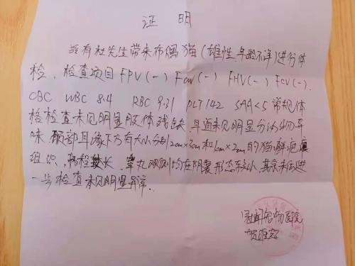 3000块买的猫有猫癣耳螨,五月大的得过猫癣的猫可以买吗