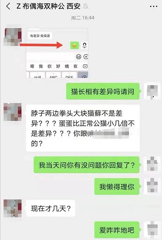 3000块买的猫有猫癣耳螨,五月大的得过猫癣的猫可以买吗