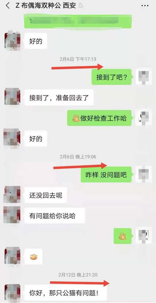 3000块买的猫有猫癣耳螨,五月大的得过猫癣的猫可以买吗