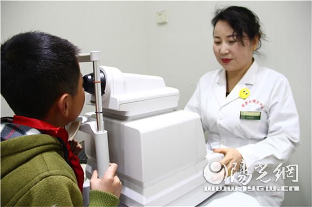 记杨陵区政协委员、“三八红旗手”罗海宏