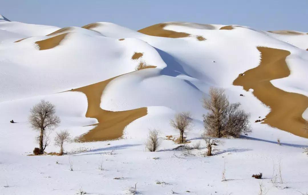 冬天的阿勒泰冰雪,冬天的雪冰雪奇缘