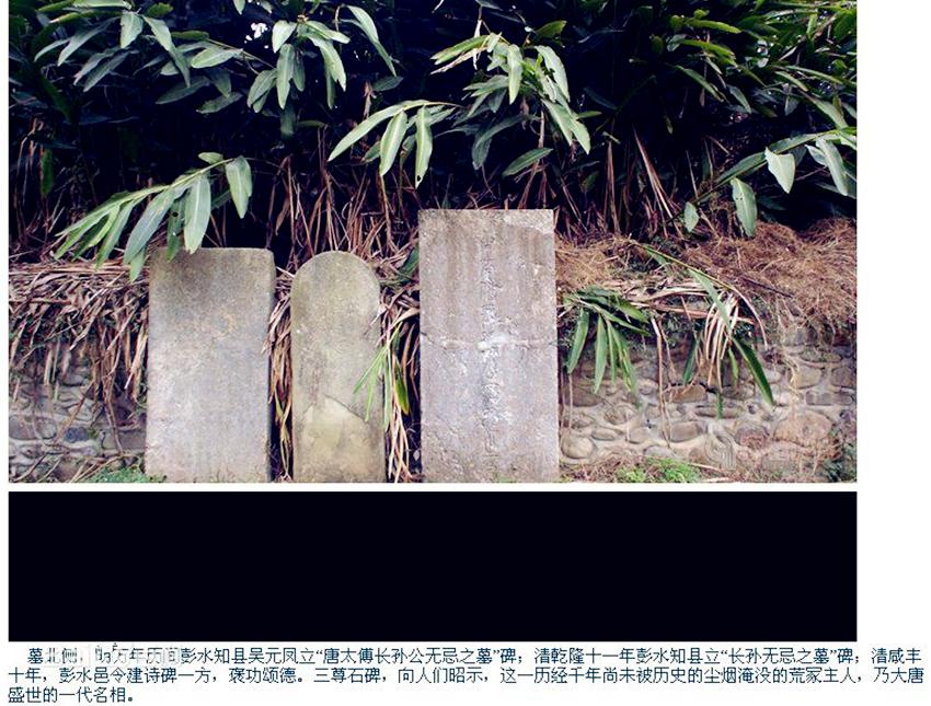 皇帝想灭了大臣简直易如反掌，长孙无忌三朝元老一夜之间灰飞烟灭