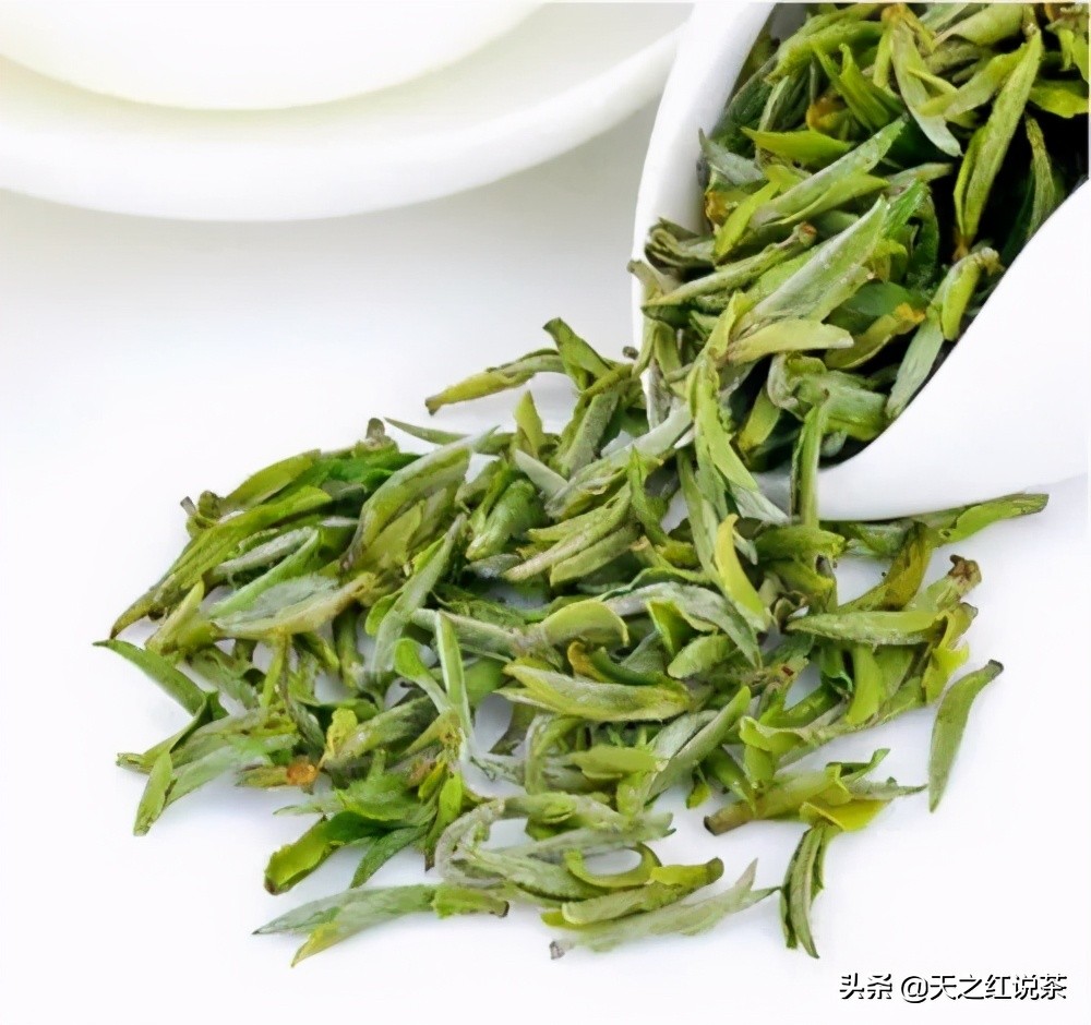喝春茶的人生感悟,喝春茶的意境诗句