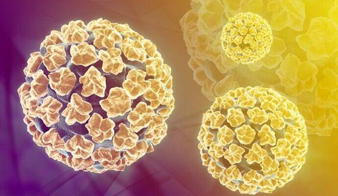 健康大讲堂你关心的hpv知识视频,hpv科普知识资料大全
