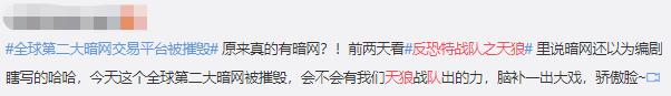 反恐特战队天狼二号,反恐特战队之天狼卧底