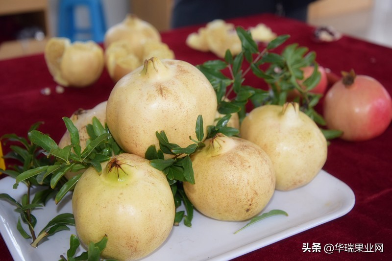 石榴套袋的正确使用方法,石榴套袋打什么农药合适
