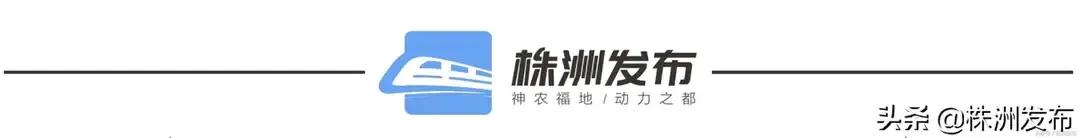 丝瓜创业致富,白关镇白丝瓜种植