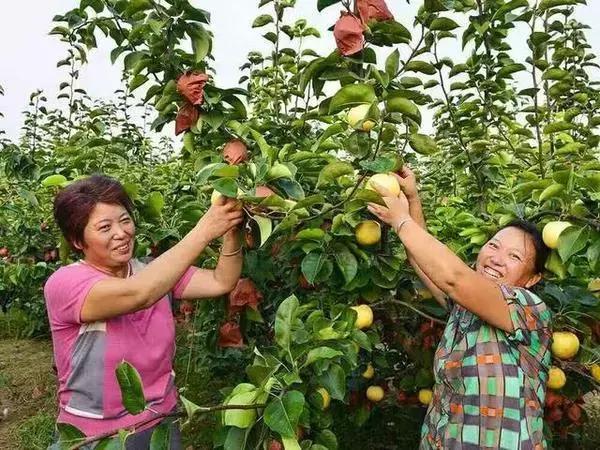 她放弃上万年薪回乡照顾痴呆公公,她放弃美国百万年薪来到中国