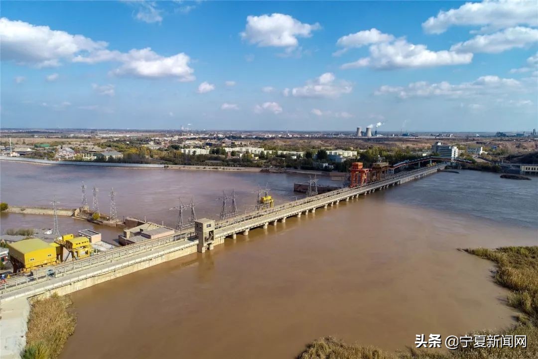 青铜峡鸟岛介绍,青铜峡鸟岛自然保护区能进吗