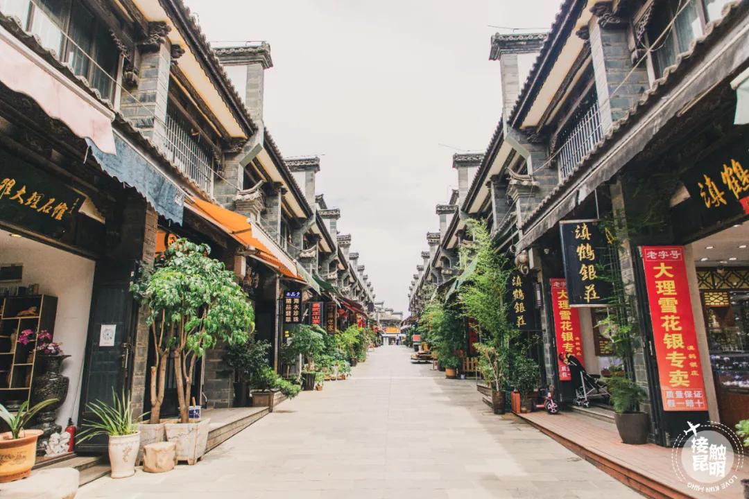 逛花卉市场赏心悦目,逛花鸟市场的快乐